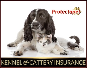 Dog with an arm around a cat promoting Protectapet's kennel and cattery business insurance.